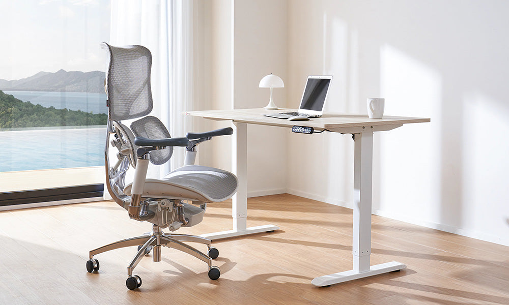 Why is the Sihoo D03 Standing Desk Worth Buying? – Official US