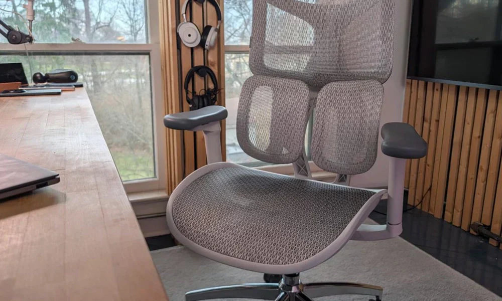 Sihoo Doro S100 Premium Elastic Mesh vs Standard Office Chairs Review