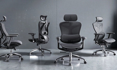 Sihoo Office Chair Wholesale: Ergonomic Excellence at Scale