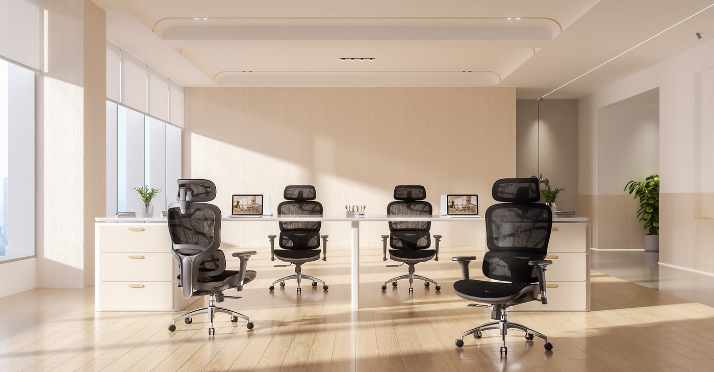 sihoo M56B Ergonomic Office Chair