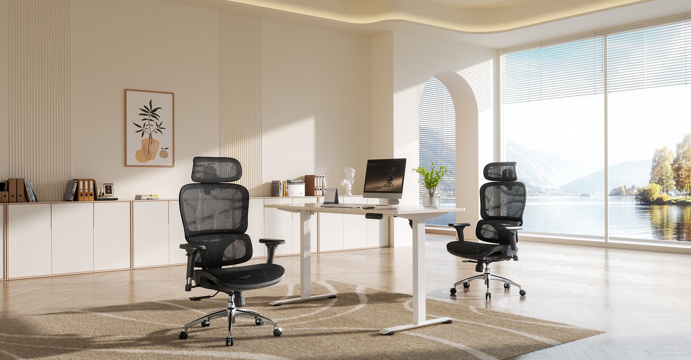 M56B Ergonomic Office Chair