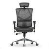 Sihoo M90C High-End Office Chair with Adaptive Lumbar Support for Different Postures