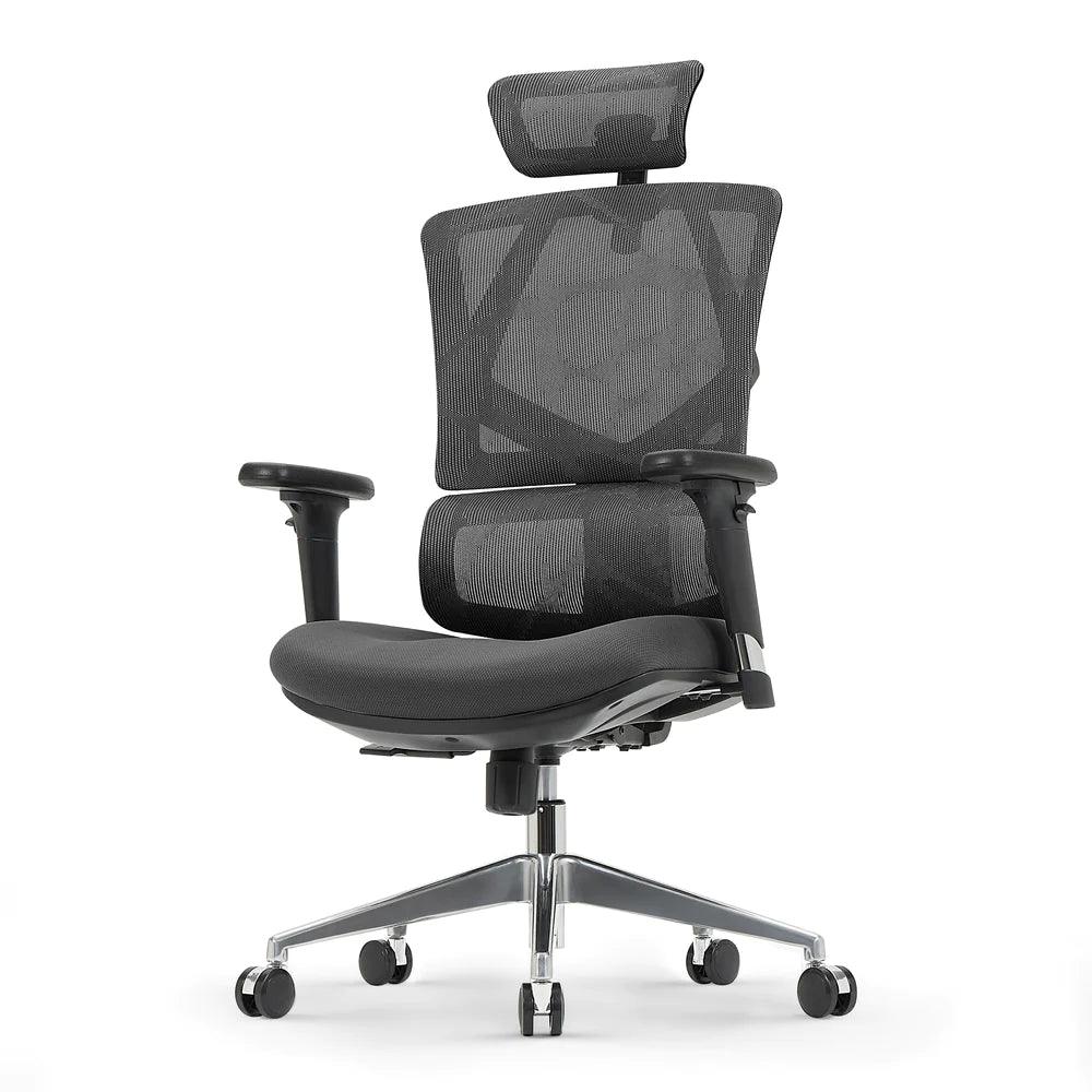 Sihoo M90D Ergonomic Chair with Adaptive Lumbar Support