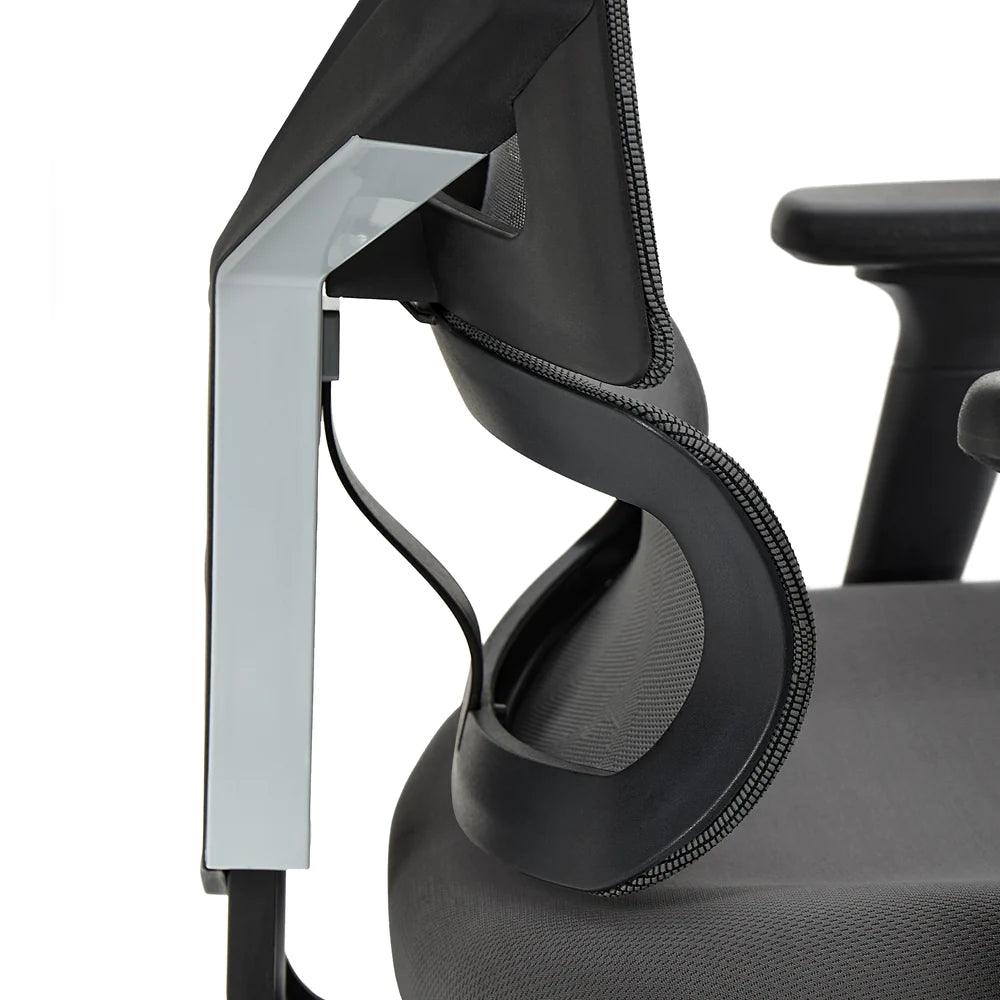 Sihoo M90D Ergonomic Chair with Adaptive Lumbar Support