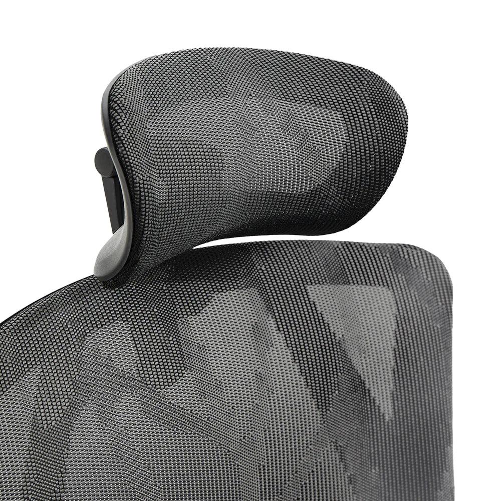Sihoo M90D Ergonomic Chair with Adaptive Lumbar Support