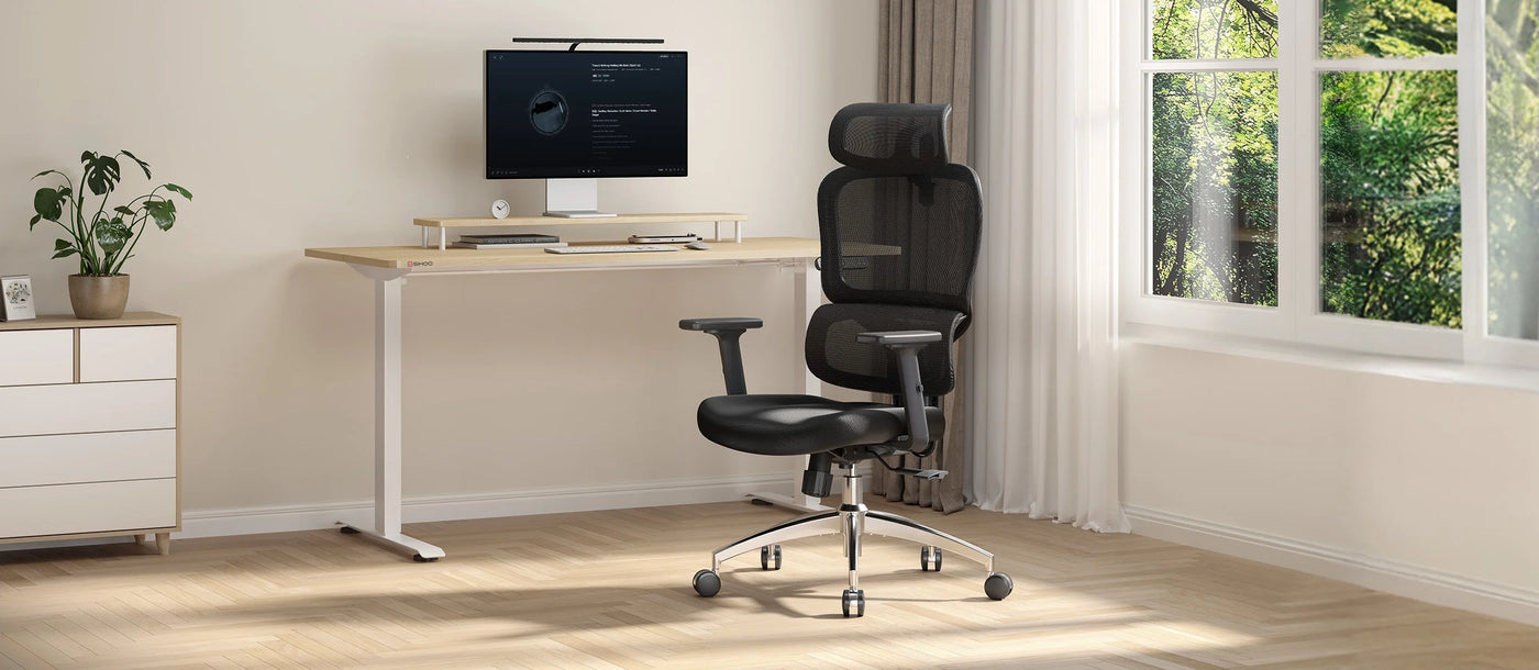 Sihoo M56C Ergonomic Office Chair