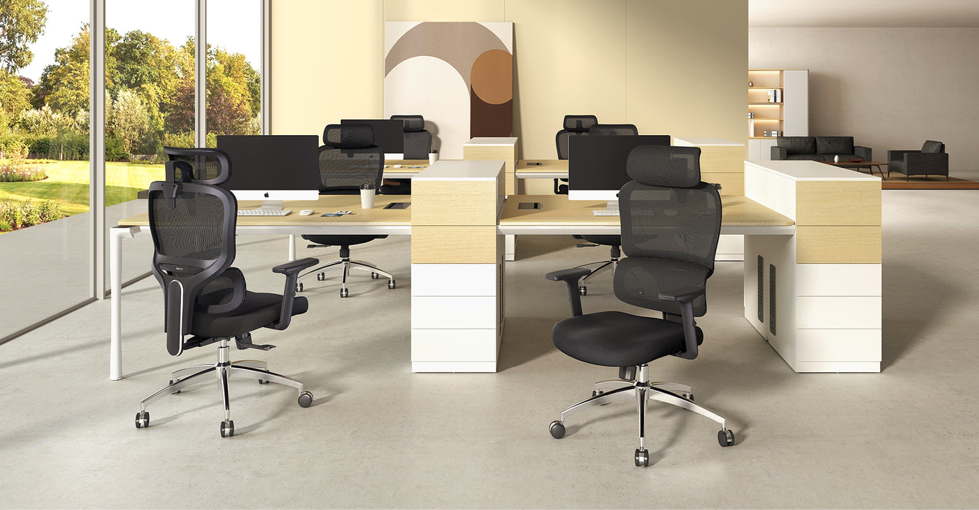 Sihoo M56C office chair