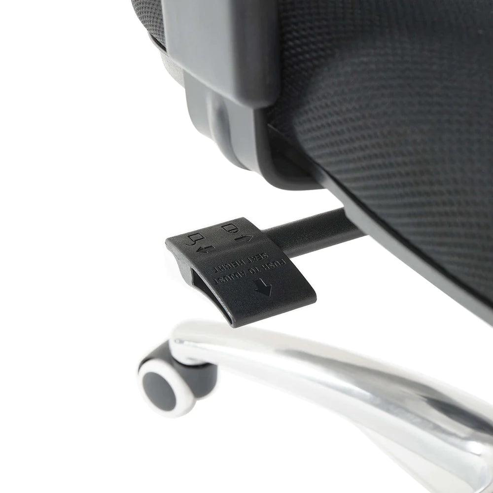 Sihoo M18 Classic Office Chair With Triple Spinal Relief