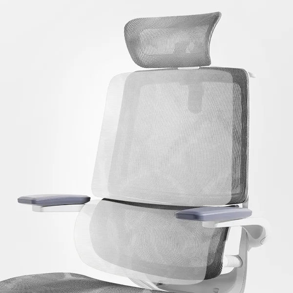 Sihoo m59as Dual-section backrest design