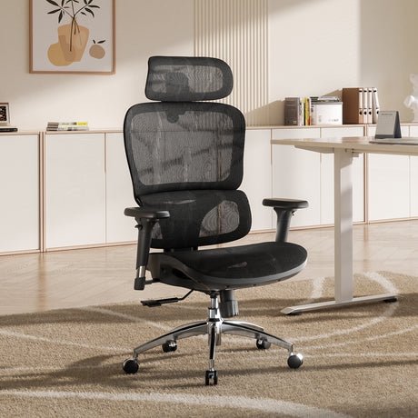 Sihoo M56B Dual-Back Ergonomic Office Chair for Better Posture