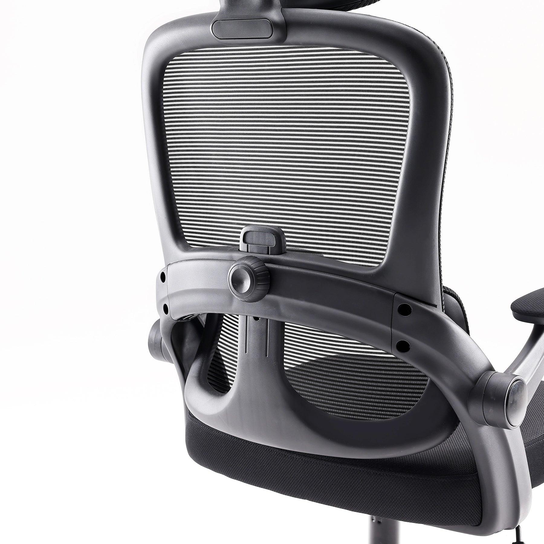 Sihoo M102C Ergonomic Office Chair with Customizable Lumbar Support