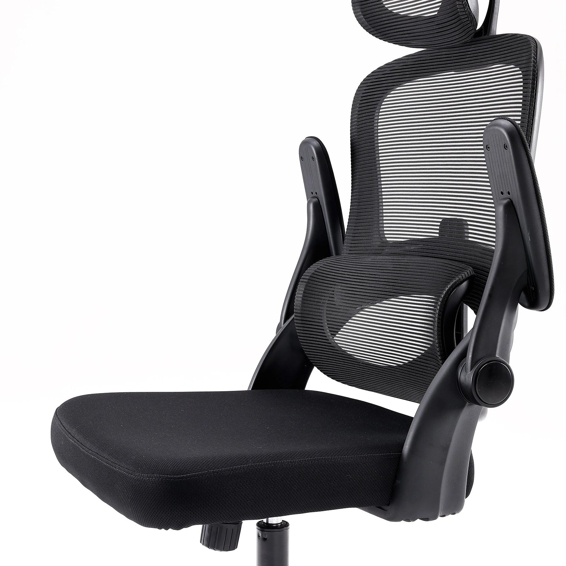 Sihoo M102C Ergonomic Office Chair with Customizable Lumbar Support