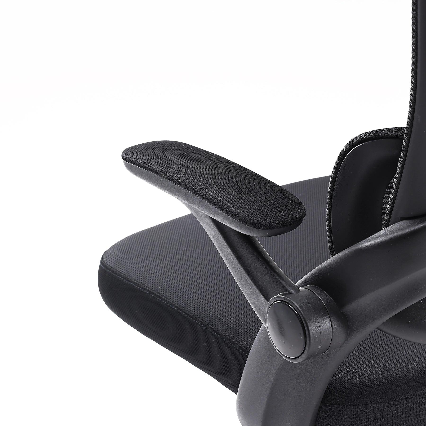 Sihoo M102C Ergonomic Office Chair with Customizable Lumbar Support