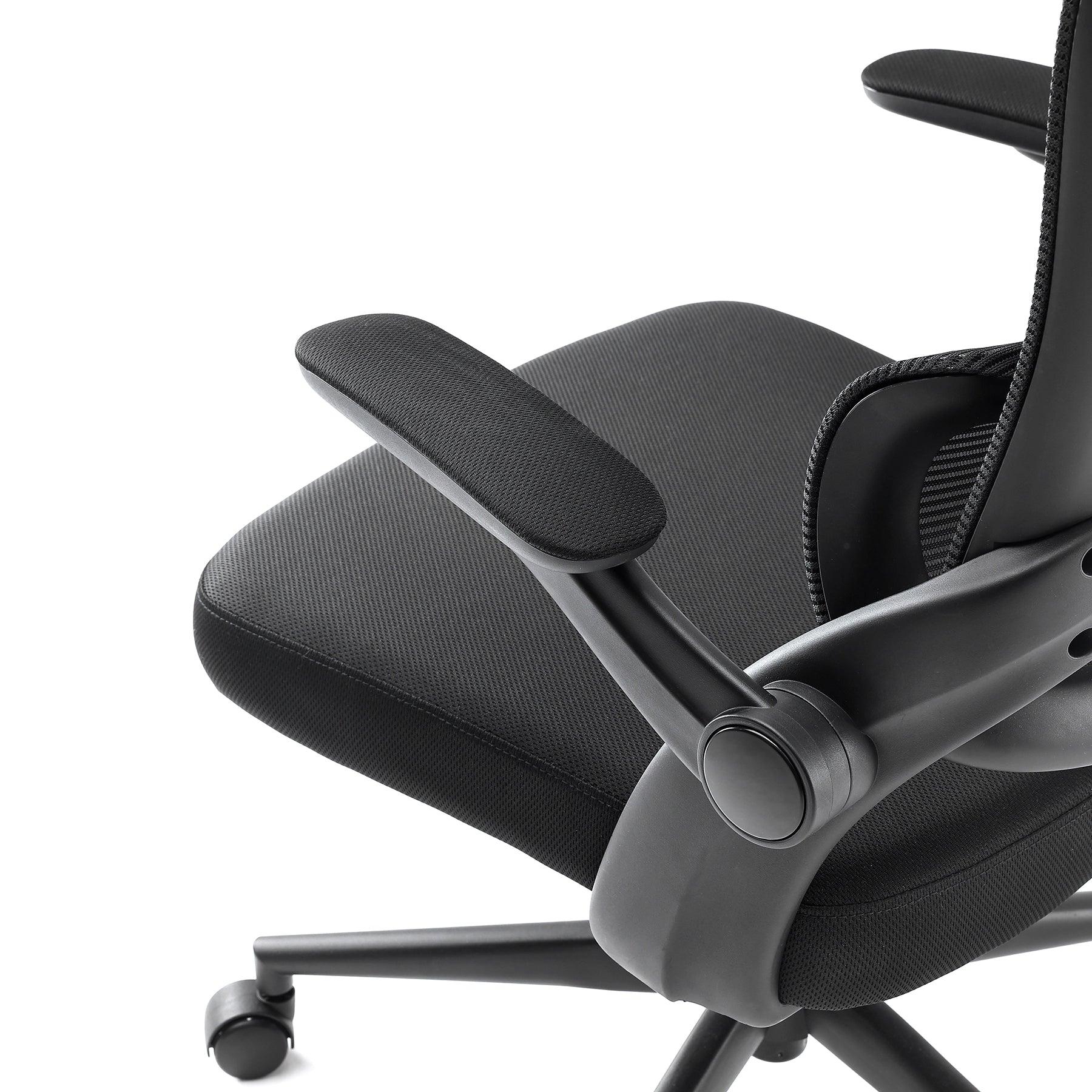 Sihoo M102C Ergonomic Office Chair with Customizable Lumbar Support