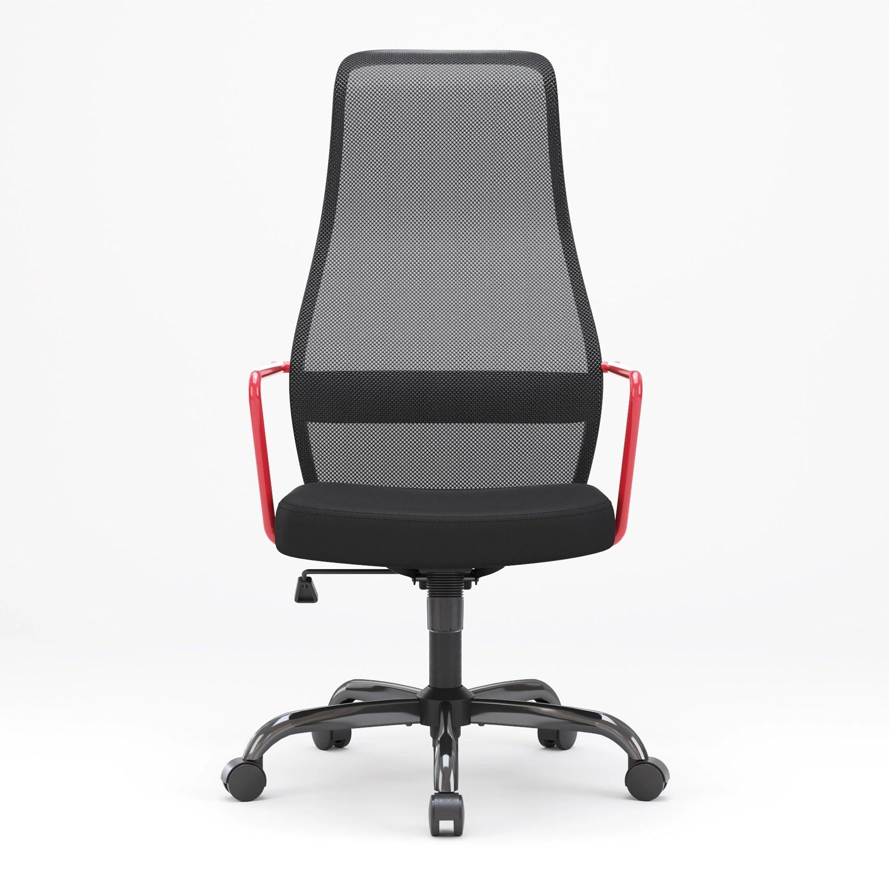 Sihoo M101C High-Back Ergonomic Office Chair