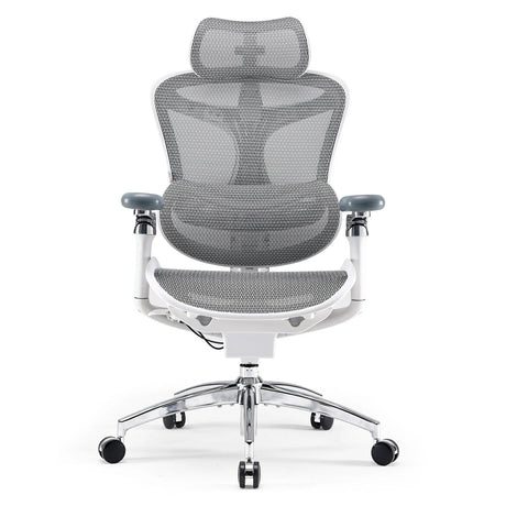 Sihoo Doro C300 Pro Ergonomic Chair - Official US Sihoo Store