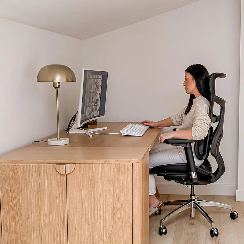 Sihoo S100 Dynamic Ergonomic Office Chair with Lumbar Support