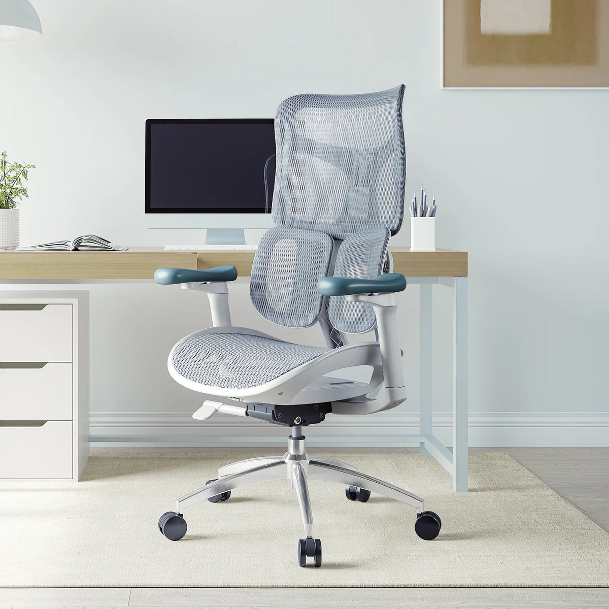 DoroS100ErgonomicOfficeChairwithDualDynamicLumbarSupport