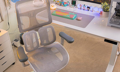 The Sihoo Doro S100 and Student Seating 