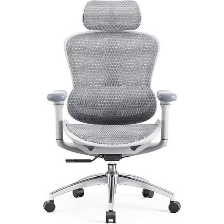 Sihoo Doro C300 Ergonomic Chair