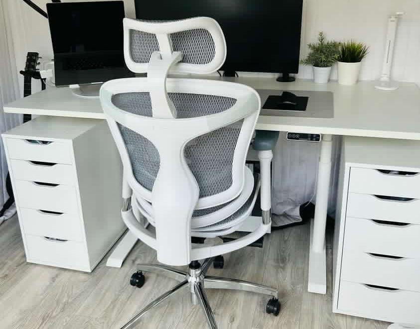 Sihoo Doro C300 Ergonomic Chair