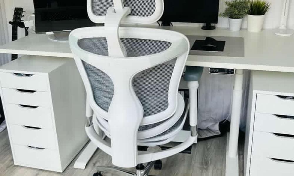 SIHOO Doro C300 Ergonomic Office Chair : The Best Choice for Bosses