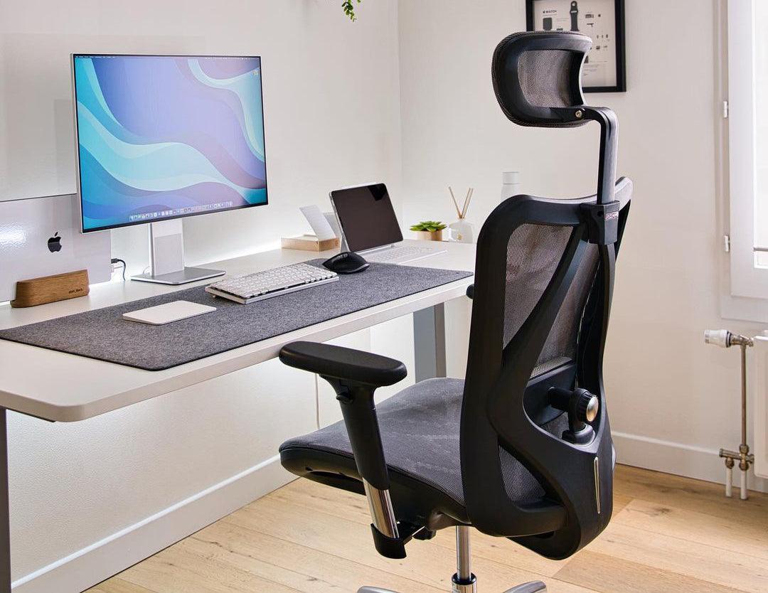 The Ergonomic Mesh Office Chairs