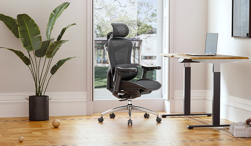 Alleviate Low Back Pain with the Sihoo C300 Ergonomic Chair