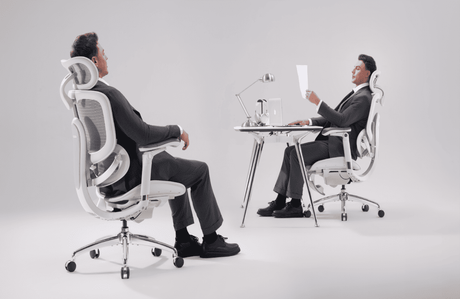 Introducing the New Sihoo Doro C300 Pro V2