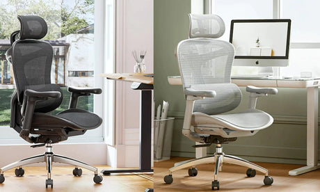 Why the Sihoo Doro C300 Stands Out