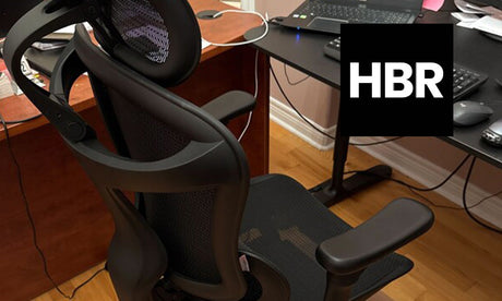 HBR Staff Reviews the Sihoo Doro C300