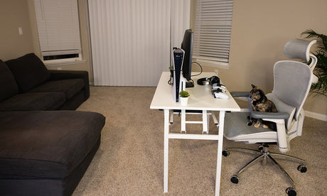 Budget Ergonomic Office Chair for a 158cm Person with Back & Neck Pain