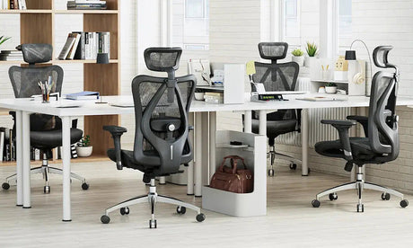 Top 5 Best-Selling Sihoo Chairs for Bulk Purchase & Wholesale