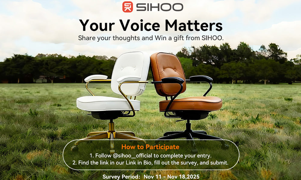 2025 Sihoo Brand Survey