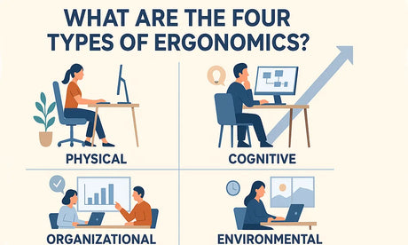 What Are the Four Types of Ergonomics?