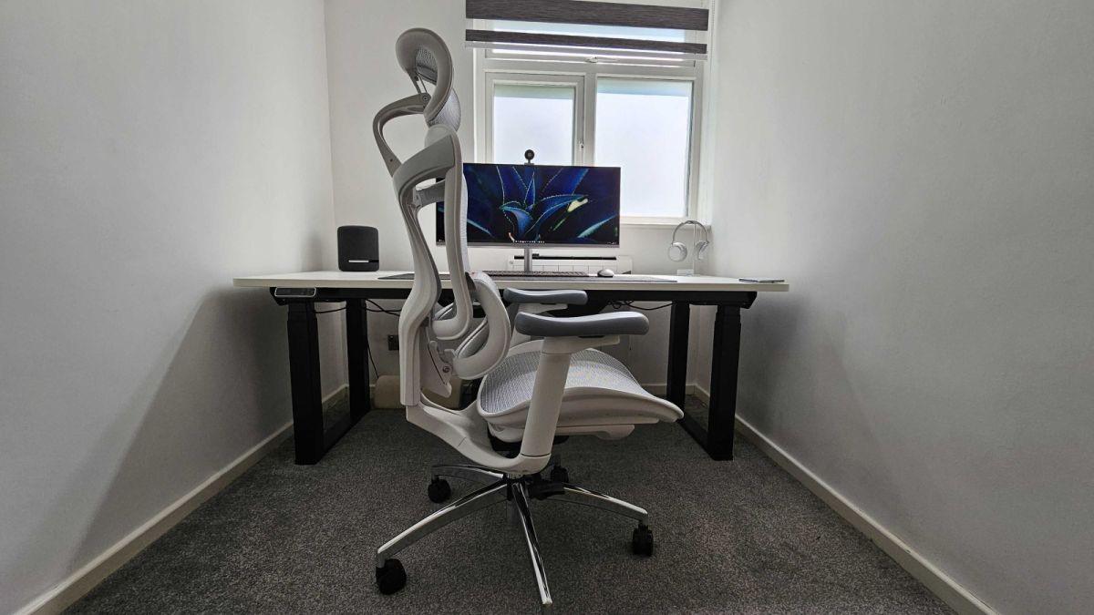 Sihoo Doro c300 Ergonomic Chair