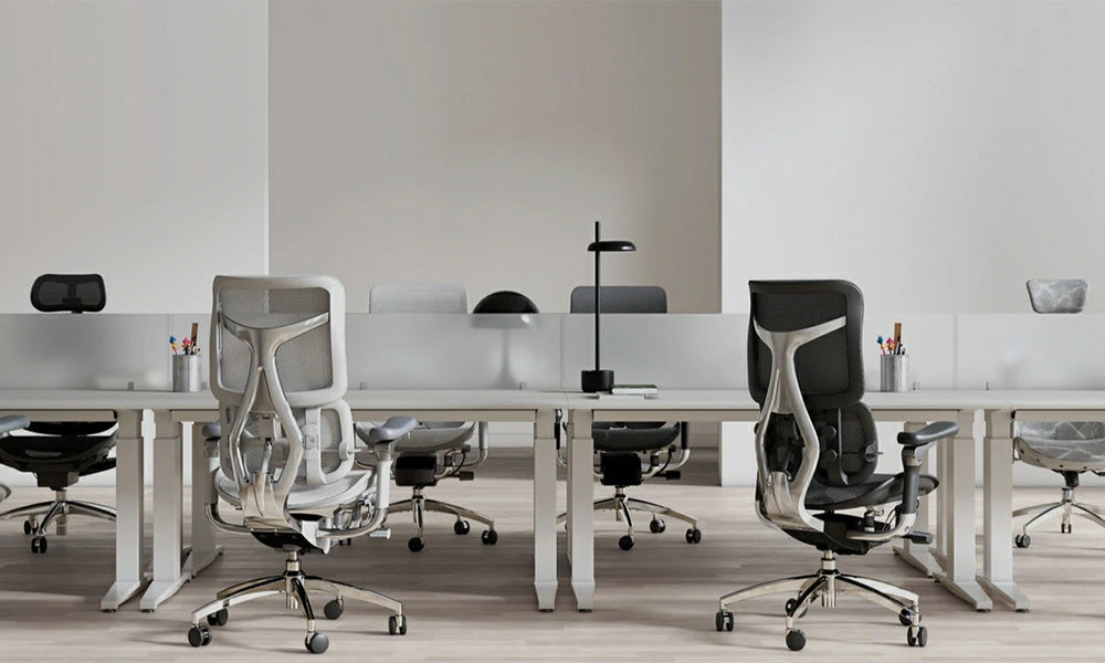 Why Choose Sihoo for Your Office Chair Wholesale Needs?