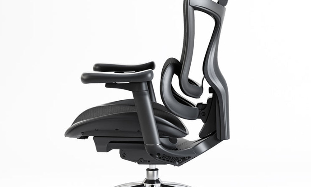 Elevate Comfort and Productivity with Dynamic Lumbar Support