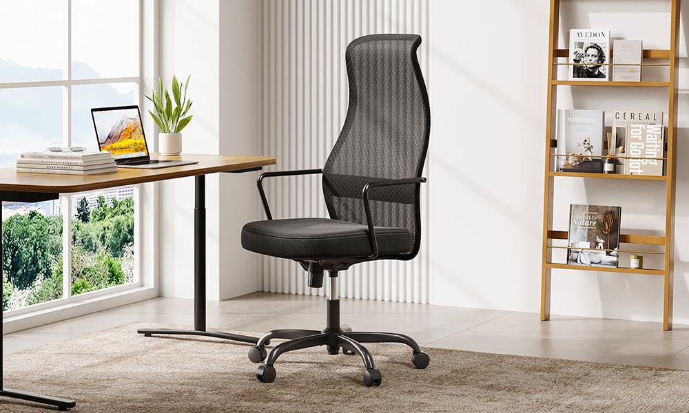 The Sihoo M101C Chair