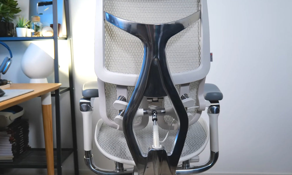 The Science Behind the Sihoo Doro S300's Lumbar Support