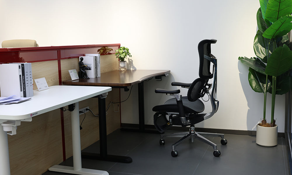 The Best Office Chair for Your Workspace: Spotlight on the Sihoo Brand