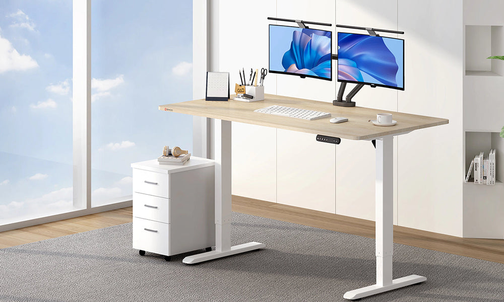 Introducing the Sihoo D03 Standing Desk