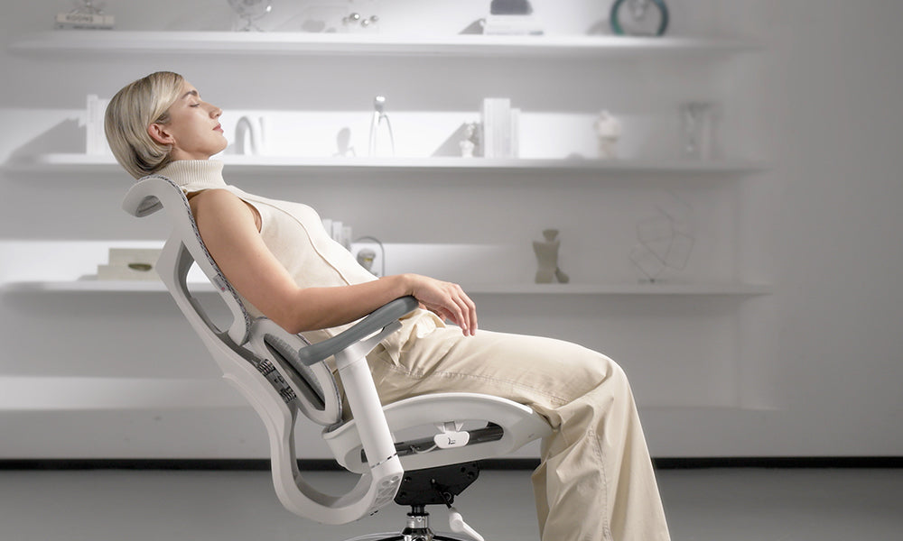 A Deep Dive into the Sihoo Doro S100 Office Chair's Top 5 Features