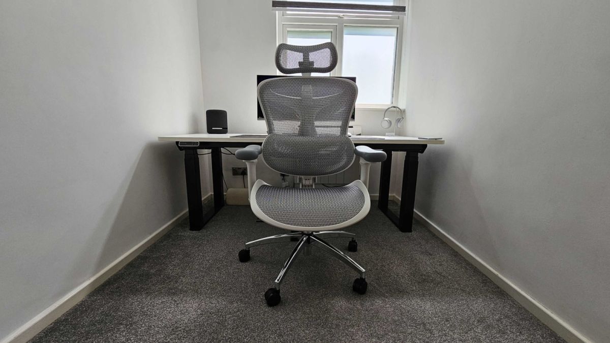 Sihoo C300 Office Chair