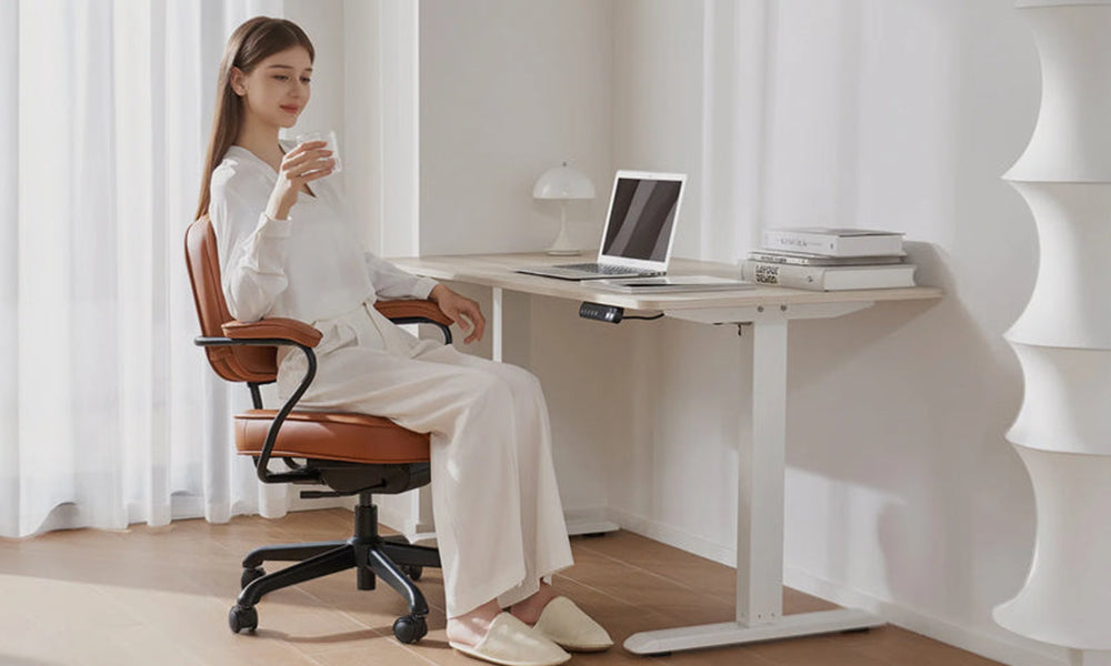 The Best Standing Desk Under $300: Sihoo D03 – Official US Sihoo Store