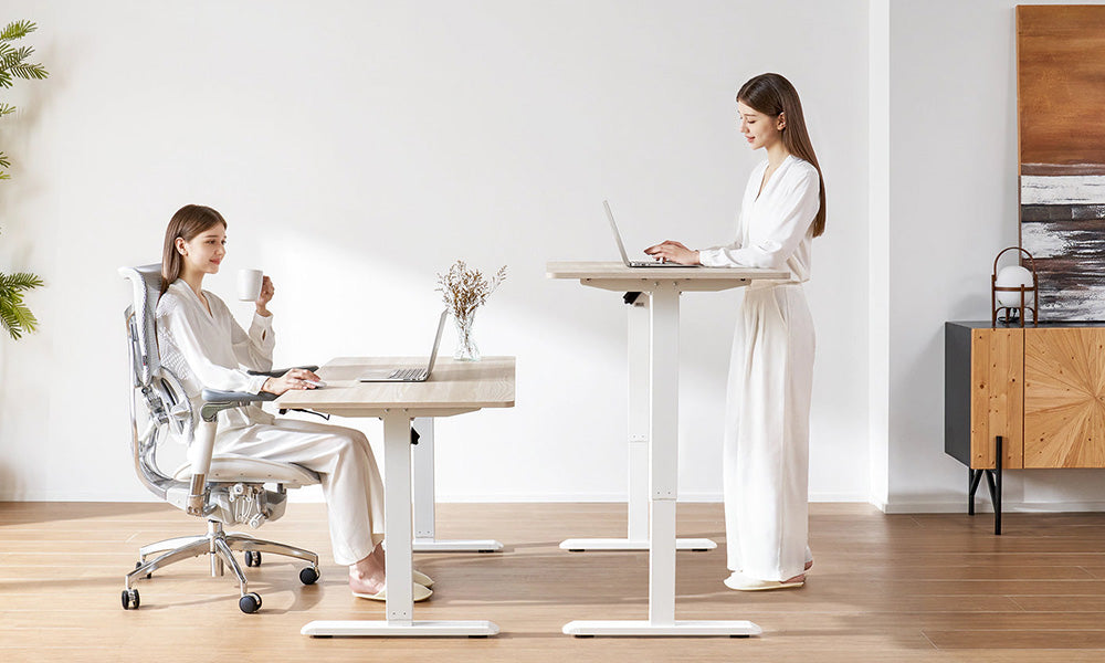 New Product Launch Sihoo D03 Height-Adjustable Standing Desk