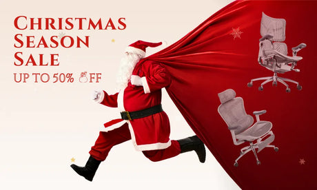 Recommended Sihoo Office Chairs for Christmas 2025