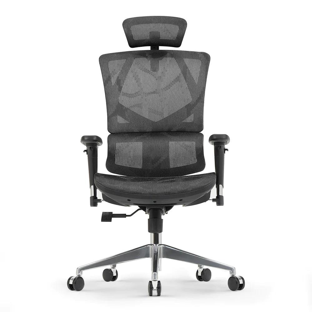 SIHOO High-Back Mesh Office Chair, Ergonomic Chair for Desk, Breathable  Mesh Design Adjustable Headrests Chair Backrest and Armrest, for Home  Office, Black 