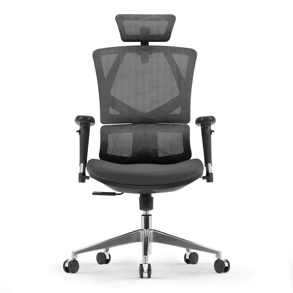 Sihoo M90D Ergonomic Chair with Adaptive Lumbar Support