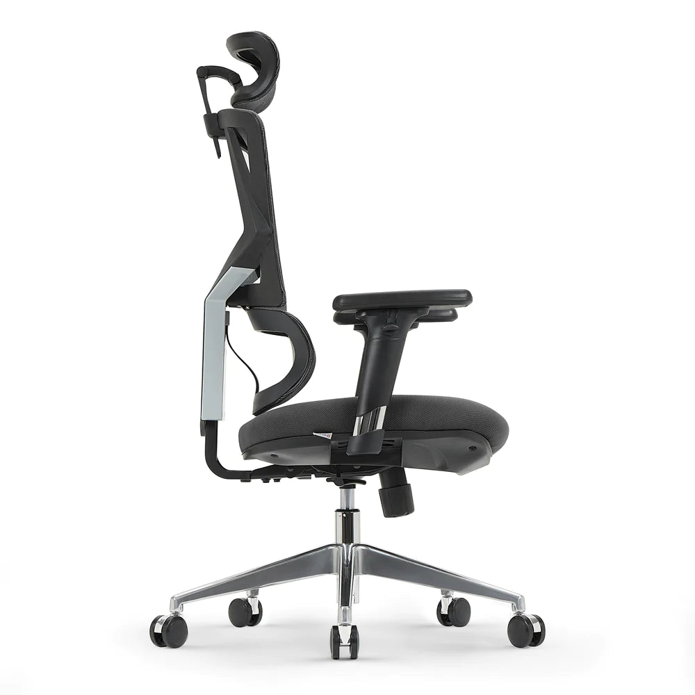 Sihoo M90D Ergonomic Chair with Adaptive Lumbar Support